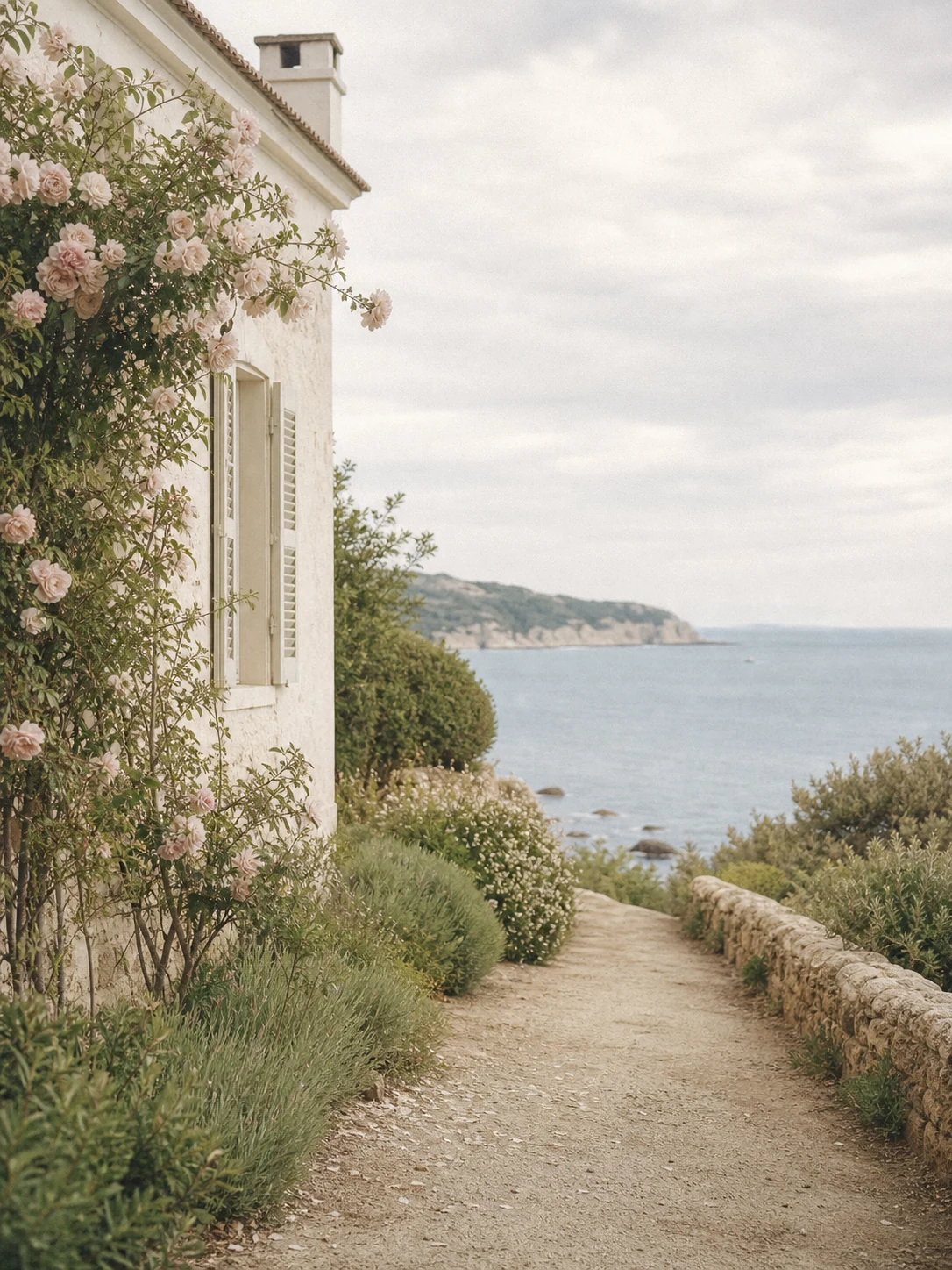 Seaside path with soft flowers