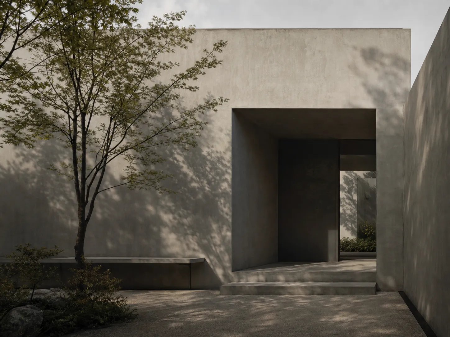 Liminal House concrete entrance with soft tree shadows