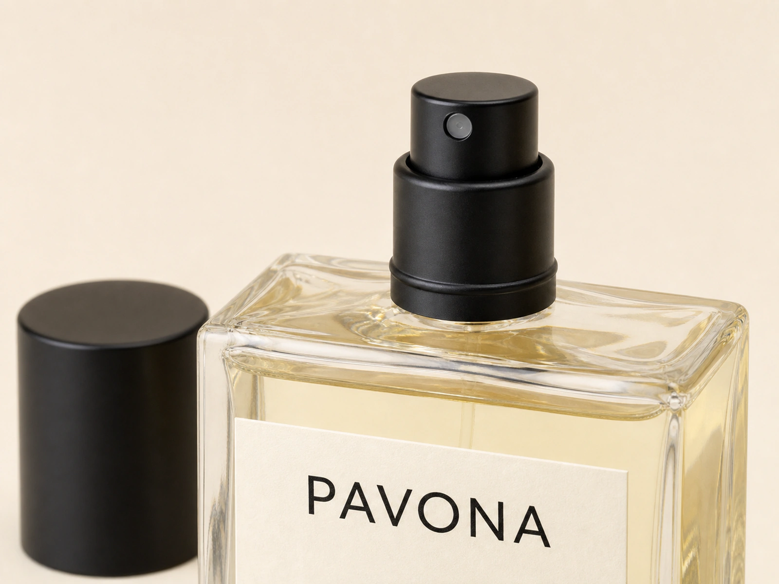 PAVONA HINOKI의 검은 분사구와 유리 병목